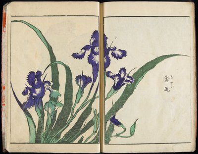 Transmitir el espíritu y revelar la forma de las cosas: El jardín de imágenes de Hokusai, vol. 1 completo de Katsushika Hokusai