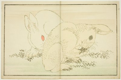 Dos Conejos, del Libro de Pinturas Realistas de Hokusai (Hokusai shashin gafu) de Katsushika Hokusai