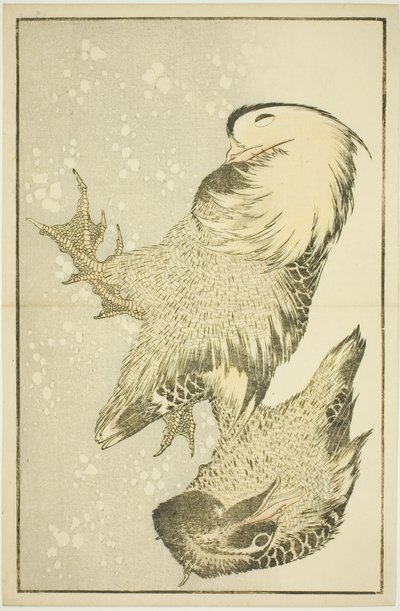 Dos aves acuáticas, del Libro de Pinturas Realistas de Hokusai (Hokusai shashin gafu) de Katsushika Hokusai