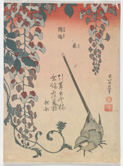 Lavandera y glicinia, período Edo, 1834 de Katsushika Hokusai