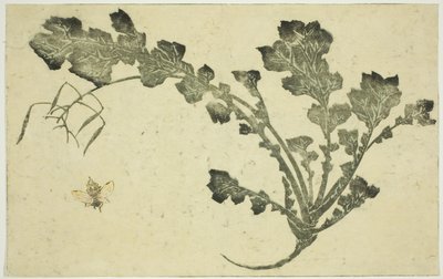 Avispa y tallo de nabo, de "El libro de pinturas realistas de Hokusai (Hokusai shashin gafu)" de Katsushika Hokusai