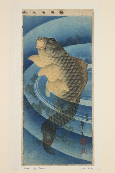 Carpa de Katsushika II (fl.1820 50) Taito