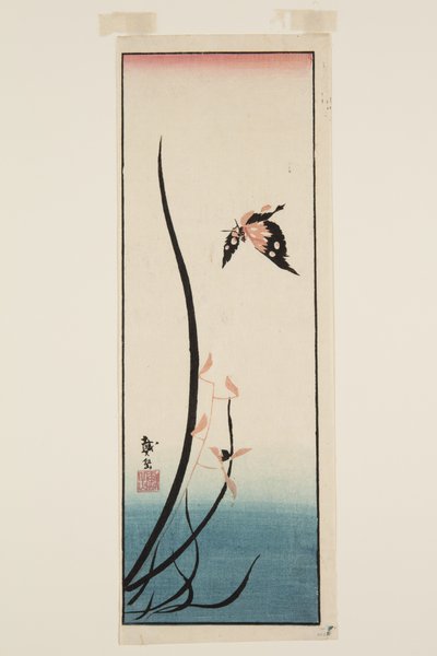 Mariposa y hierba de Katsushika II (fl.1820 50) Taito