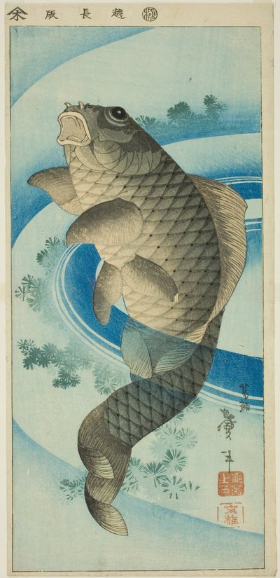Carpa de Katsushika Taito II