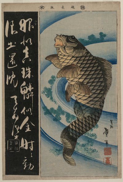 Carpa y algas de Katsushika Taito II