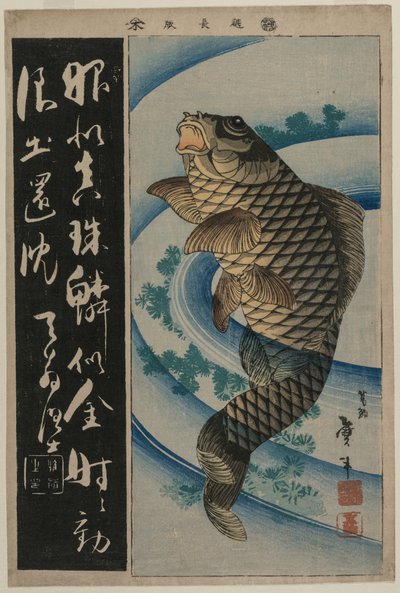 Carpas y algas de Katsushika Taito II