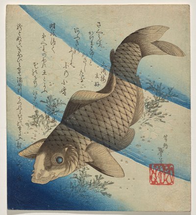 Carpa nadando en algas de Katsushika Taito II