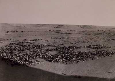 Reenviar a Brak, la guerra Italo-Turkish, Libia del siglo XX (fotografía en B/N) de Alec Hunter
