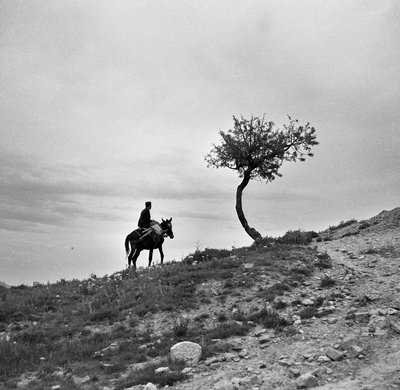 Campesino que regresa del campo, monta una mula, y el perfil se destaca contra el cielo; a pesar de ser hombre se sube al amazonas de Alec Hunter