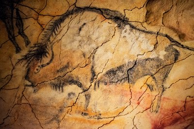Las Cuevas de Altamira, NORTE DE ESPAÑA, 2021 (foto) de Alec Hunter