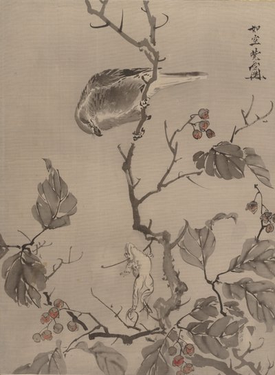 Pájaro y rana, ca. 1887 de Kawanabe Kyosai