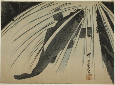 Salto ascendente de la carpa de Kawanabe Kyosai