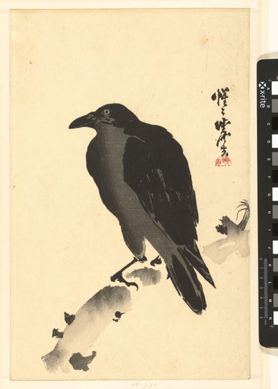 Cuervo en el tronco de un árbol de Kawanabe Kyosai