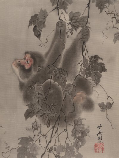 Mono colgando de parras de Kawanabe Kyosai