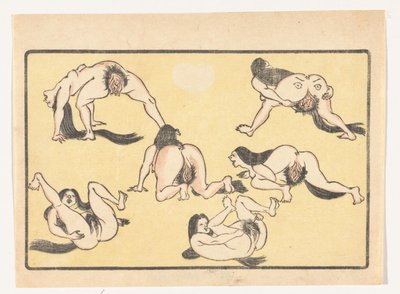 mujeres desnudas The Big Tail (título de la serie) de Kawanabe Kyosai