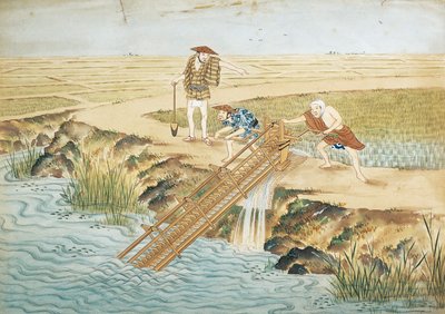 Países Bajos, Leiden, Trabajo en campos de arroz de Keiga Kawahara