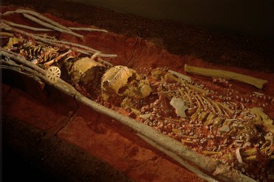 Arqueología; Homínido; Hominino; Evolución humana - Homo sapien Sapiens; Evolución humana; Hielo A..., 2000 (foto) de Kenneth Garrett