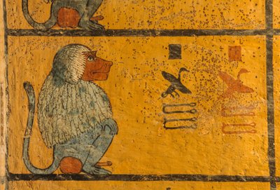 Babuino, Pintura mural en la tumba del rey Tutankamón; KV52, Valle de los Reyes, Tebas,..., 2003 (foto) de Kenneth Garrett