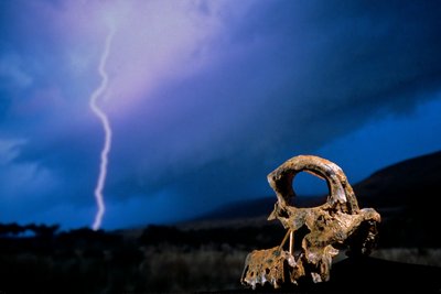 DOH; The First Steps,Broken Skull, STW 847, Lightning, High veld, Swartkrans, Sudáfrica, 2008 (foto) de Kenneth Garrett