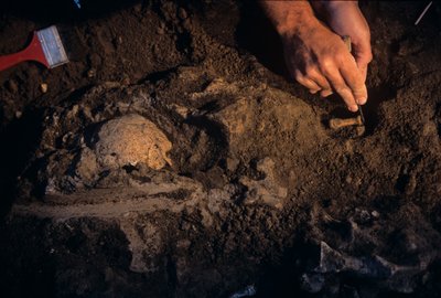 Dmanisi, Georgia, David Lordkipanidze, Homo Erectus de Kenneth Garrett