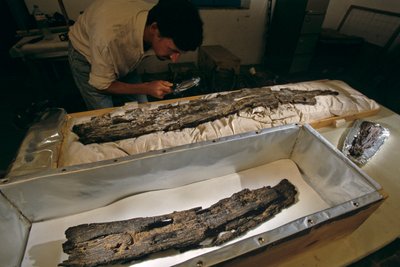 El Dr. Matthew Adams inspecciona en el laboratorio un tablón de madera de barco, madera dura, no cedro, procedente de Abydos, Egipto, 2005 (foto) de Kenneth Garrett