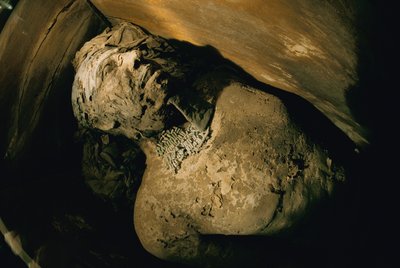Egipto; Arqueología; Reino Antiguo; Saqqara; Momia; Nefer; Tumba, V Dinastía de Kenneth Garrett