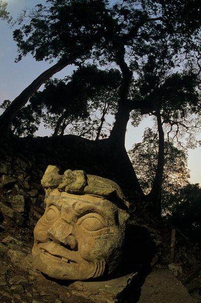 Dios N, Ceiba, templo, Maya, Copan, Honduras, Periodo Clásico de Kenneth Garrett