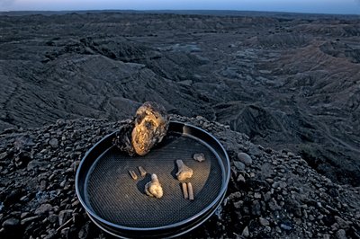 El hijo de Lucy, Zeray Alemseged, Australopithicus Afarensis, Etiopía, Paleontólogo,..., 2006 (foto) de Kenneth Garrett