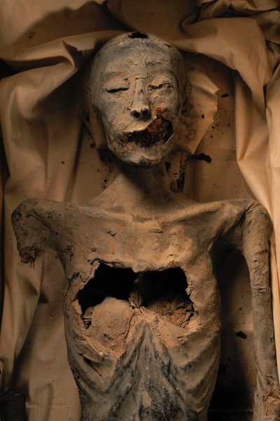 Momia de la madre del Rey Tut (conocida como la Dama Joven) de Kenneth Garrett