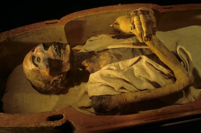 Momia de Ramsés II de Kenneth Garrett
