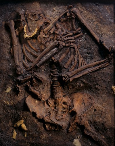 Neandertal, molde pintado, cueva de Kebara, Monte Carmelo, "Moshe", c 60,000BP, Israel de Kenneth Garrett