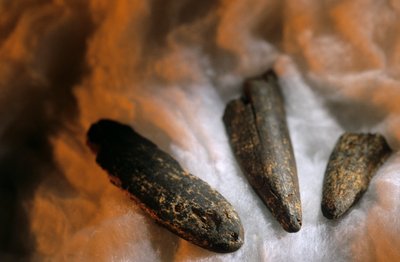 Puntas de hueso afiladas utilizadas para excavar,Del yacimiento de Drimolean, cerca de... de Kenneth Garrett