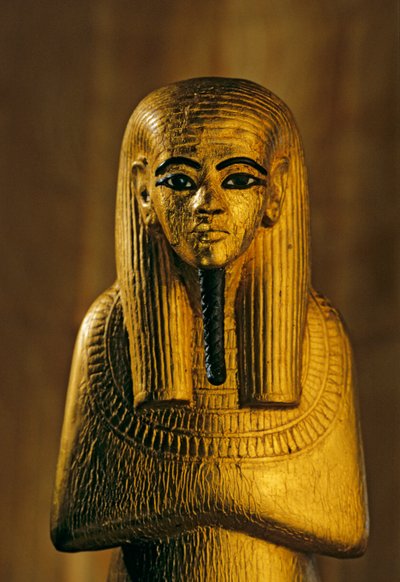 Estatua de Duamutef; Oro; madera, KV 62. Duamutef era, en la antigua religión egipcia, el..., 2009 (foto) de Kenneth Garrett
