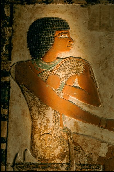 Tumba de Nefer; Egipto; Arqueología; Reino Antiguo; Saqqara de Kenneth Garrett
