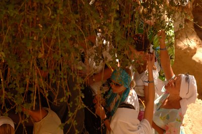 Turistas tocan las ramas de la "zarza ardiente" de Moisés en el Monasterio de Santa Catalina, M..., 2006 (foto) de Kenneth Garrett