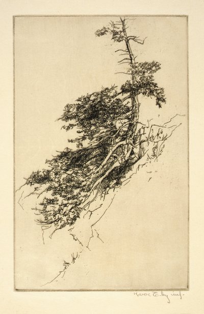 Pino de Little Rock de Kerr Eby