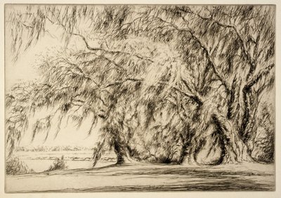 Robles y musgo de Kerr Eby