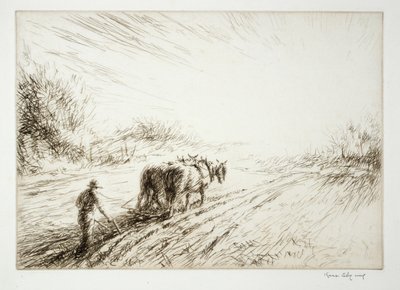 Arado de Kerr Eby