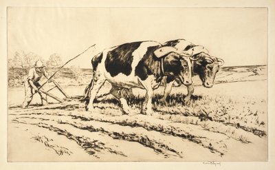Arado de primavera de Kerr Eby