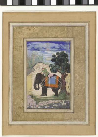 Elefante y jinete Elefante con jinete de Keshavdas (possibly)