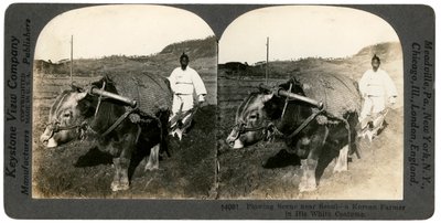 Agricultura cerca de Seúl, Corea del Sur, 1900s de Keystone View Company