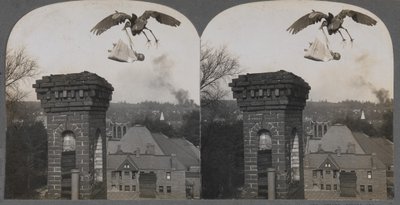 En tiempos antiguos, si la gente era buena, la cigüeña traía un bebé dulce y hermoso, 1907 de Keystone View Company