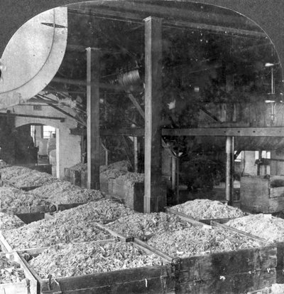 Haciendo papel de trapos, Holyoke, Massachusetts, EE.UU., siglo XX de Keystone View Company