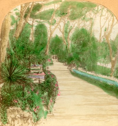 Paseo, Jardín Alameda, Roca de Gibraltar, 1896 de Keystone View Company