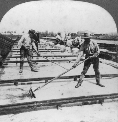Evaporación solar, fabricación de sal, Siracusa, Nueva York, EE.UU., siglo XX de Keystone View Company