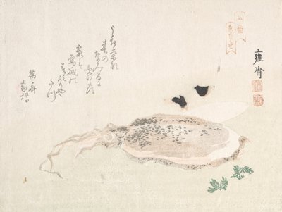 Sepia, principios del siglo XIX de Kikuchi Yosai