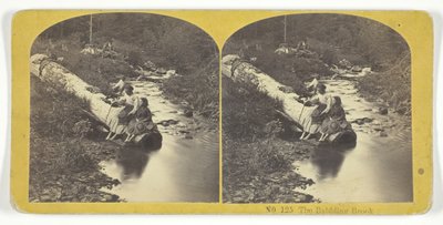 El arroyo murmurante, 185575. Creadores: Kilburn Brothers, BW Kilburn de Kilburn Brothers, BW Kilburn