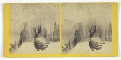 Trucha, 1855-1875 de Kilburn Brothers, BW Kilburn