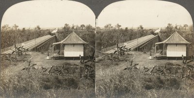 Grupo de 14 estereografías de África y Actores, 1850s-1910s de Kilburn Brothers