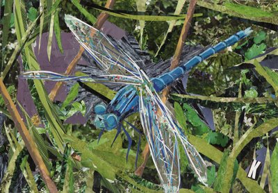 Libélula azul de Kirstie Adamson